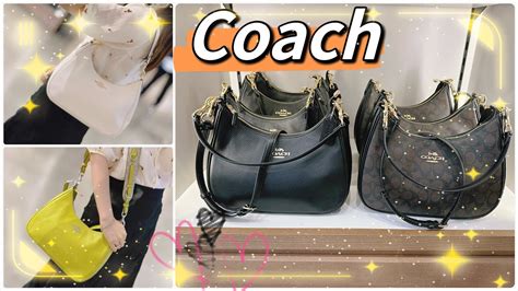 Uncovering Coach Teri Hobo Dupe: The Best Alternatives